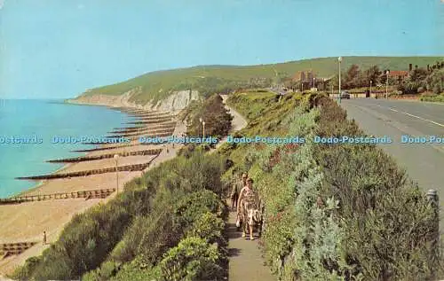 R487591 Beachy Head and Western Parades Eastbourne Norman D V Bennett