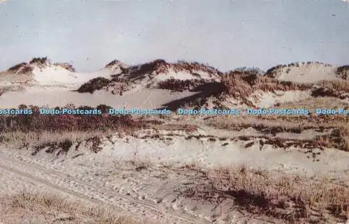 R486166 Mass Sand Dunes Cape Cod E D West Curteichcolor 1951