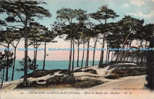 R487619 37 Arcachon le Moulleau Gironde Bord du Bassin aux Abatilles M D Marcel