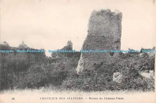 R486232 Chateaux des Allinges Ruines du Chateau Vieux Neurdein Freres