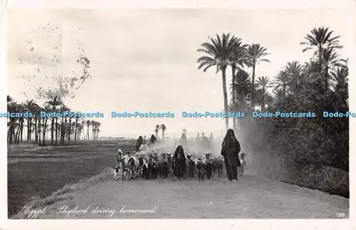 R487737 Egypt Shepherd driving homeward 129 The Simon Arzt Store Lehnert and Lan