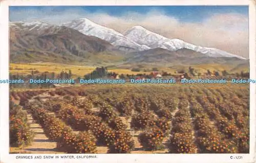 R484172 California Oranges and Snow in Winter Pacific Novelty P N C