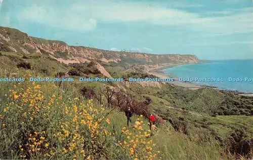 R489431 Folkestone The Warren Norman Shoesmith and Etheridge