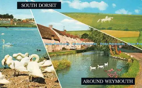 R490243 South Dorset um Weymouth Radipole Lake Sutton Poyntz D Constance Mul