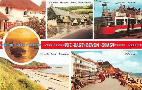 R490266 The East Devon Coast Exmouth Orcombe Point Sidmouth Local Thatch Harvey