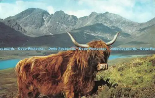 R490283 Eine Highland Rover Postkarte 1968