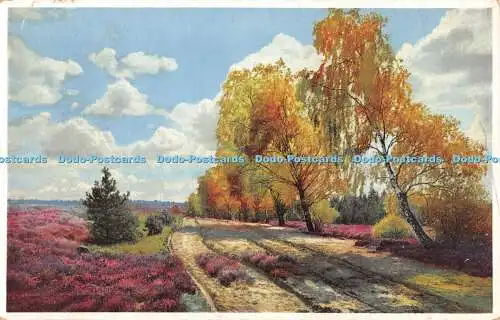 R490473 Sommerwiesenstraße Nenke und Ostermaier Photochromie Serie 353 Nr 5052