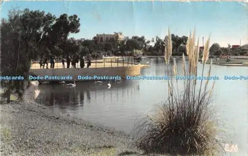 R490486 Oran Le Jardin Municipal Un coin du Lac Combi RP