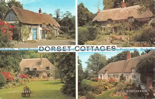 R490593 Dorset Cottages Milton Abbey Dorchester J Salmon Cameracolour Multi View