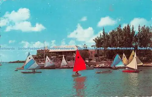 R490787 Bermuda Paget Sunfish Segelboote zeigen ihre fröhlich bunten Segel in f