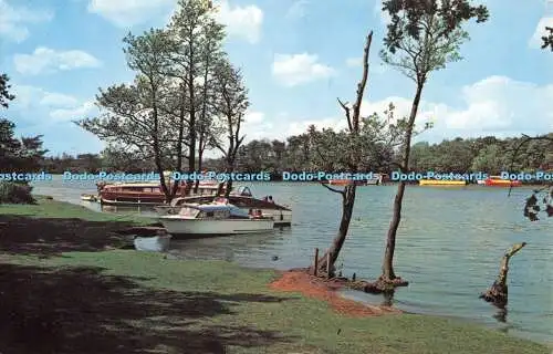 R490844 Norfolk Broads Salhouse Broad