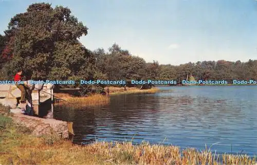 R490893 Virginia Wasser Der See Postkarte