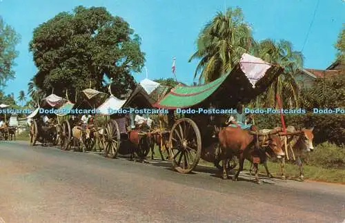 R490911 Malacca Bullock Carts A S M K