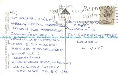 R494711 Welpen Bamforth Animal Serie G600 1983 Bamforth