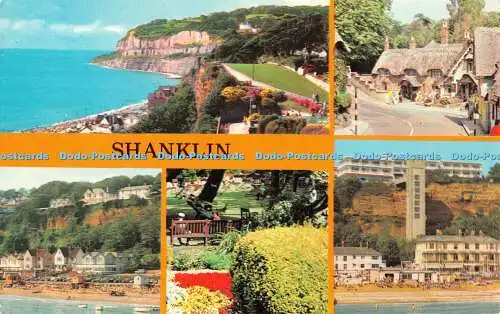 R494721 Shanklin Colourmaster International Precision PLX22628 Multi View