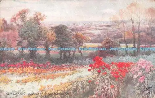 R492855 Guernsey A Field of Chrysanthemums Series I Tuck Oilette 7317 Henry B Wi