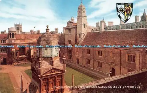 R496604 Caius Court Gonville and Caius College Cambridge Salmon