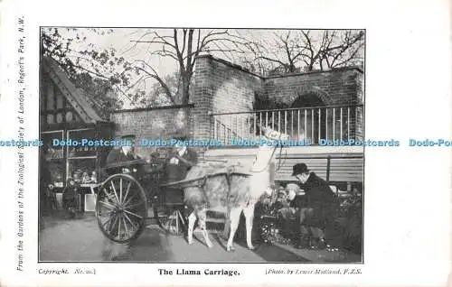 R496814 Nr. 20 The Lama Carriage Lewis Medland Gardens of the Zoological Society