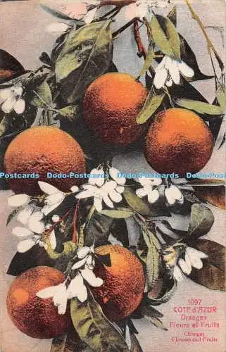 R495218 Cote d Azur Orangen Blumen und Früchte Giletta