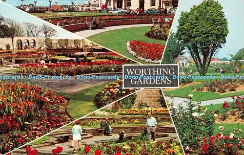 R496935 Worthing Gardens D Constance Limited Vita Nova V8647 1973 Multi View