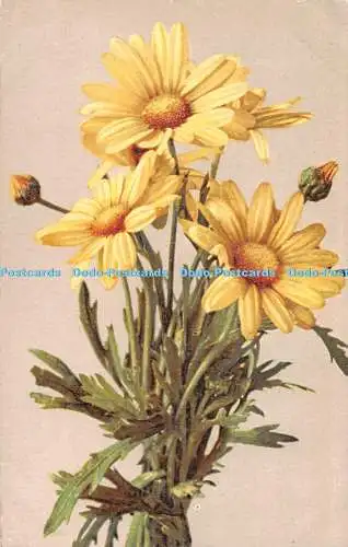 R495370 Yellow Flowers N Z G Serie U I Nr 1948