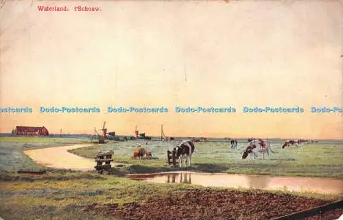 R498885 Waterland t Schouw Nenke and Ostermaier Photochromie Serie 173 Nr 3051