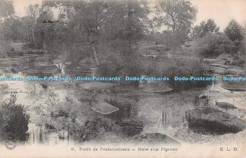 R493481 8 Foret de Fontainebleau Mare aux Pigeons E L D