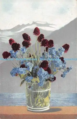 R495522 Vase mit Blumen Photochromie Nenke und Ostermaier Serie 515 Nr 860