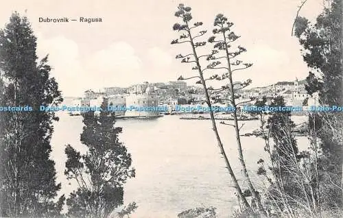 R497281 Dubrovnik Ragusa I Kulisie 1909