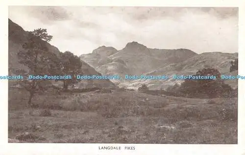 R499201 Langdale Pikes Miss D Charlton