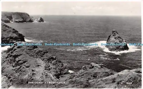 R499217 The Coast at Boscastle D E M Thomas RP