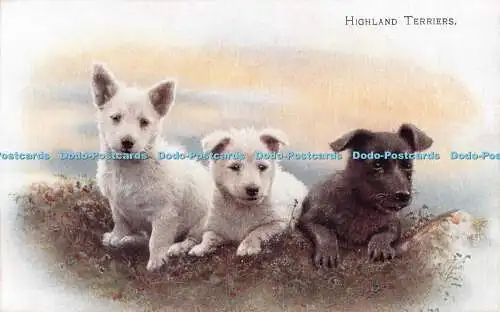 R497512 Highland Terrier J Lachs Postkarte