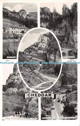 R494127 Cheddar Lion Rock Tuck RP Multi View