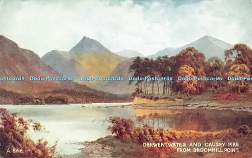R499732 A 846 Derwentwater and Causey Pike from Broomhill Point Art Colour Edwar