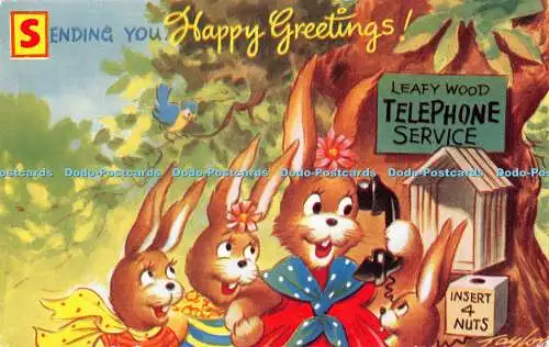 R497975 Sending You Happy Greetings Bamforth Merry Message Series No G 224