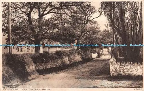 R499780 Prestatyn Lane to the Hills 47092 Photochrom 1925