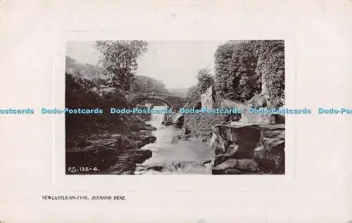 R499827 P S 135 4 Newcastle Tyne Jesmond Dene The Rapid Photo Printing 1910