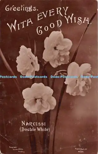 R498052 Grüße mit jedem guten Wunsch Narzissen Double White Sutton Rapid Foto