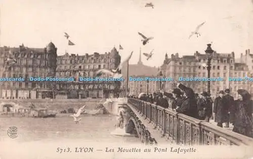 R500415 Lyon Les Mouettes au Pont Lafayette S Farges