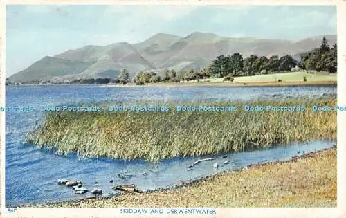 R500689 Skiddaw and Derwentwater G P Abraham Nature Colour Photograph Series