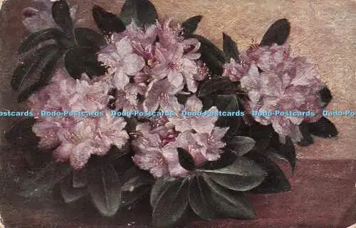 R500924 Blumen L N Schloss Serie Künstlerische Karten Serie 218