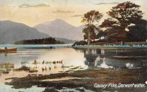 R502538 Causey Pike Derwentwater J W B Series No 303 Commercial Series