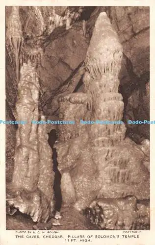 R502925 A G H Gough The Caves Cheddar Pillars of Salomons Temple