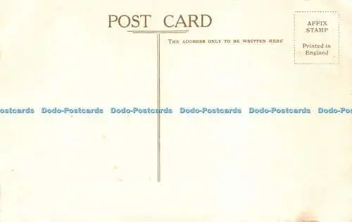 R502925 A G H Gough The Caves Cheddar Pillars of Salomons Temple