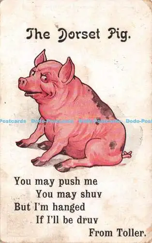 R503104 The Dorset Pig You may push me You may shuv But I m hanged If I ll be dr