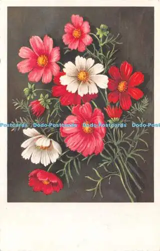 R503242 Sommerblumen A F K H Postkarte