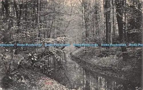 R503426 Delden Unbekannter Wald und Fluss G Vrielink H J Z