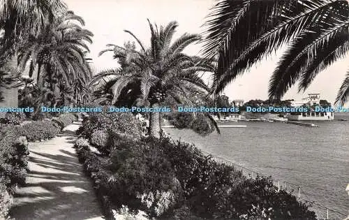 R503434 Cote D Azur Beaulieu sur Mer Le Jardin Exotique Au fond la villa Kerylos