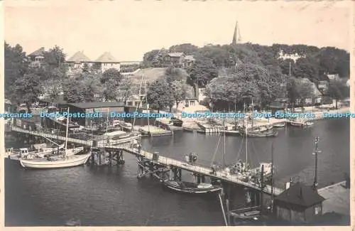 R503946 Hafen Mimose Postkarte