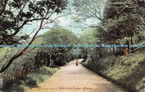 R504592 Weston Super Mare Kewstoke Woods Hartmann 1905